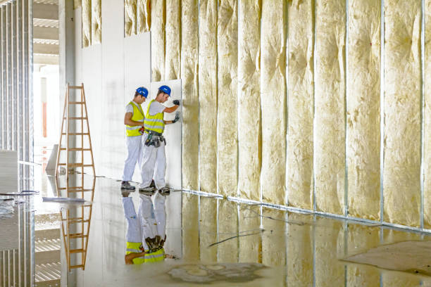 Best Wall Insulation Installation  in Nevada, MO